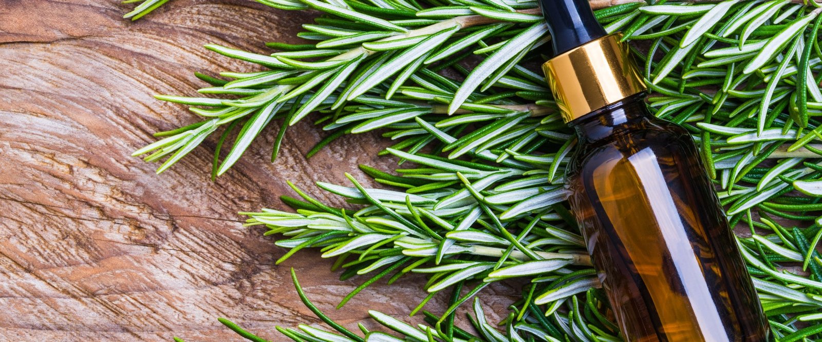 Is Rosemary Oil Good For Beard Growth